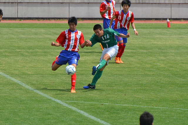 20160423A1_13.jpg